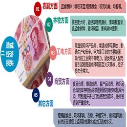 泰安養殖場高效滅鼠策略 結合專業服務與工業互聯網數據優勢